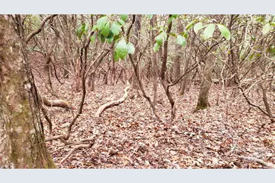 9999 Gagama Court #16/19, Brevard, NC 28712 - Photo 7