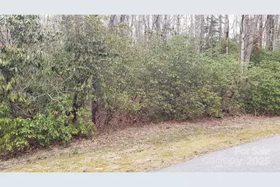 9999 Gagama Court #16/19, Brevard, NC 28712 - Photo 3