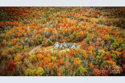 92 Bird Creek Estates Road, Black Mountain, NC 28711 - Photo 47