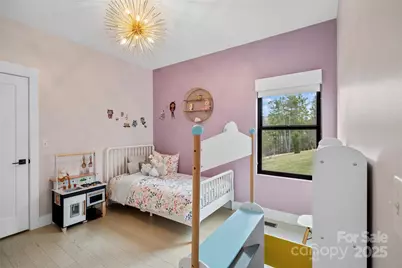 41 Alaskan Drive, Leicester, NC 28748 - Photo 31