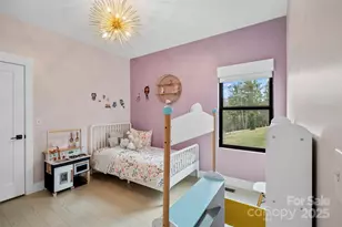 41 Alaskan Dr, Leicester, NC 28748 - Photo 31