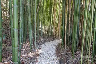 15 Elmwood Ln, Asheville, NC 28803 - Photo 39