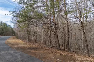 476 Front Ridge Cir, Rutherfordton, NC 28139 - Photo 41