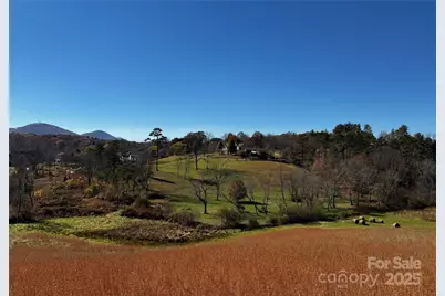 38 Flourish Farm Lane, Asheville, NC 28806 - Photo 3