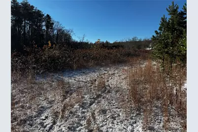 38 Flourish Farm Lane, Asheville, NC 28806 - Photo 39