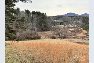 38 Flourish Farm Lane, Asheville, NC 28806 - Photo 29
