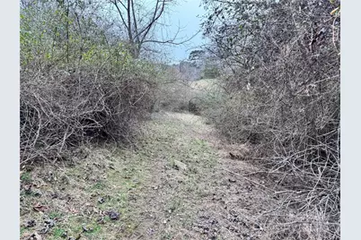 38 Flourish Farm Lane, Asheville, NC 28806 - Photo 25