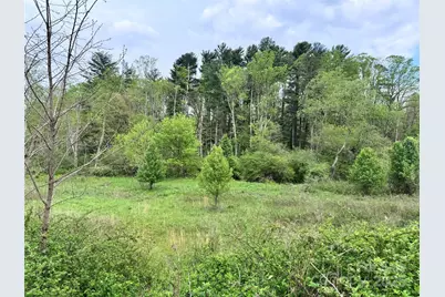 38 Flourish Farm Lane, Asheville, NC 28806 - Photo 13