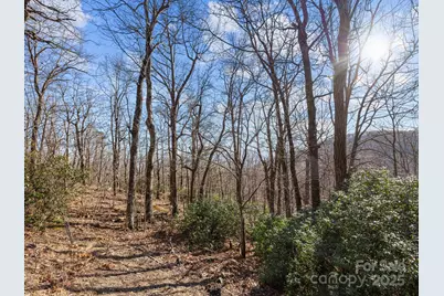 00 Morning Ride Drive #36, Columbus, NC 28722 - Photo 5