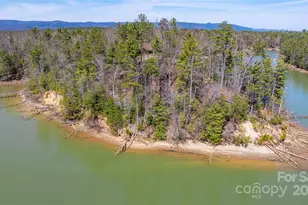 2199 Yellow Fork Trail E, Nebo, NC 28761 - Photo 3