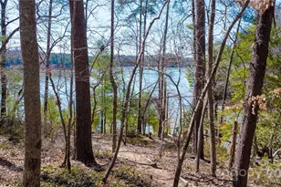 2199 Yellow Fork Trail E, Nebo, NC 28761 - Photo 11