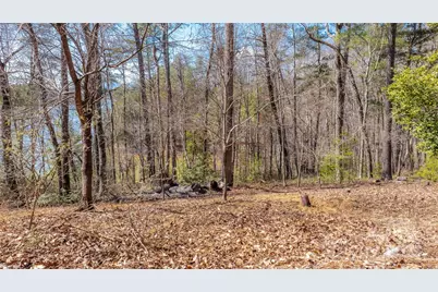 2199 Yellow Fork Trail E, Nebo, NC 28761 - Photo 43