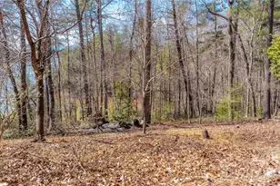 2199 Yellow Fork Trail E, Nebo, NC 28761 - Photo 43