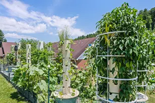 66 Bradley St, Waynesville, NC 28786 - Photo 31