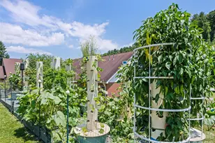 66 Bradley St, Waynesville, NC 28786 - Photo 33