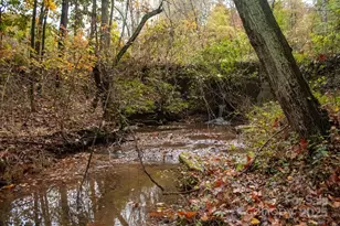 110 Rupard Rd, Statesville, NC 28625 - Photo 43