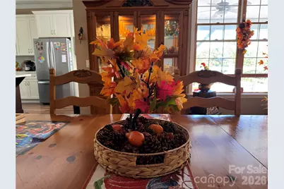 261 Boland Drive, Lake Lure, NC 28746 - Photo 15