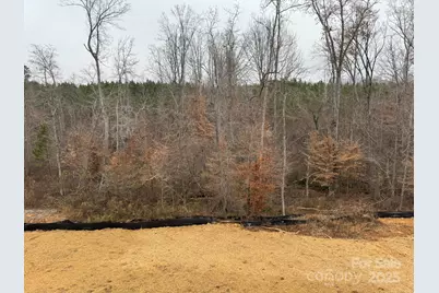 145 High Rock Court #03, Statesville, NC 28677 - Photo 31