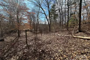 526 Lentz Rd, Marion, NC 28752 - Photo 13