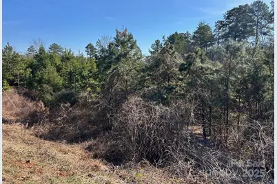 670 Talley Road, Troutman, NC 28166 - Photo 3