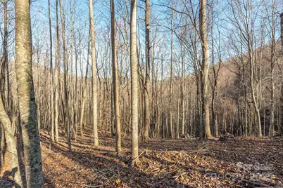 885 Stoney Stream Lane, Arden, NC 28704 - Photo 3