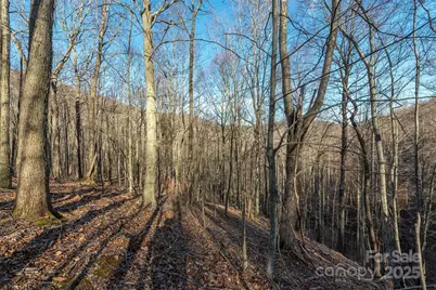 885 Stoney Stream Lane, Arden, NC 28704 - Photo 9