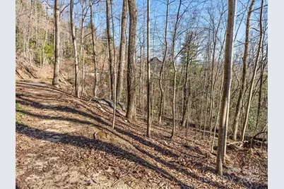 Lot W13 Curtain Bluff, Hendersonville, NC 28791 - Photo 25