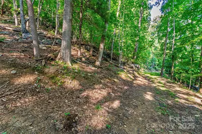 Lot W13 Curtain Bluff, Hendersonville, NC 28791 - Photo 7