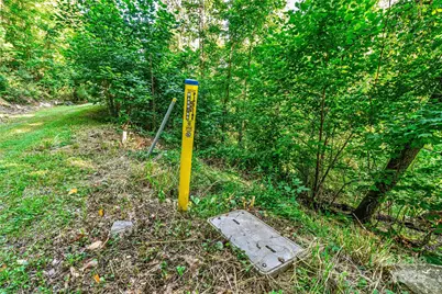 Lot W13 Curtain Bluff, Hendersonville, NC 28791 - Photo 11