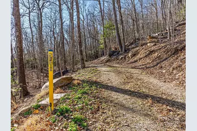 Lot W13 Curtain Bluff, Hendersonville, NC 28791 - Photo 17