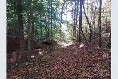 5 Acres Blue Ridge Trail, Columbus, NC 28722 - Photo 3