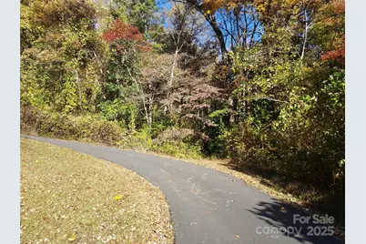 5 Acres Blue Ridge Trail, Columbus, NC 28722 - Photo 13