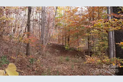 5 Acres Blue Ridge Trail, Columbus, NC 28722 - Photo 17