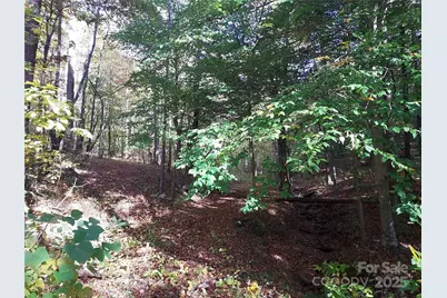 5 Acres Blue Ridge Trail, Columbus, NC 28722 - Photo 11