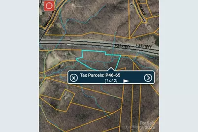 5 Acres Blue Ridge Trail, Columbus, NC 28722 - Photo 19