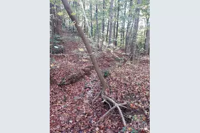 5 Acres Blue Ridge Trail, Columbus, NC 28722 - Photo 9