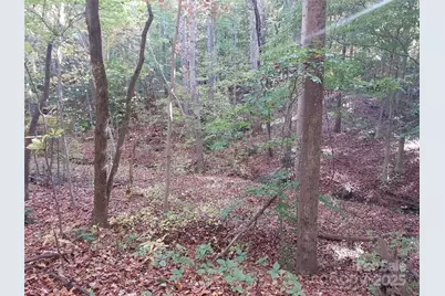 5 Acres Blue Ridge Trail, Columbus, NC 28722 - Photo 5