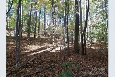 5 Acres Blue Ridge Trail, Columbus, NC 28722 - Photo 1