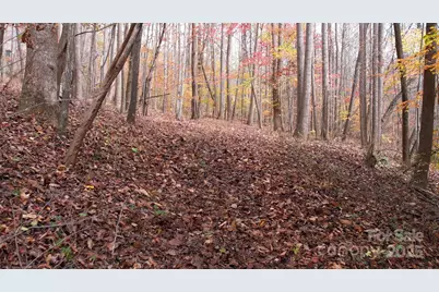 5 Acres Blue Ridge Trail, Columbus, NC 28722 - Photo 21