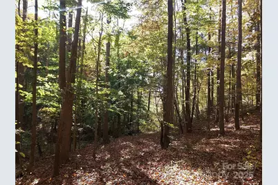 5 Acres Blue Ridge Trail, Columbus, NC 28722 - Photo 7