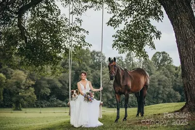 732 Crowe Dairy Road, Forest City, NC 28043 - Photo 33