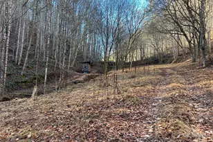 12982 US Hwy 19W None, Burnsville, NC 28714 - Photo 35