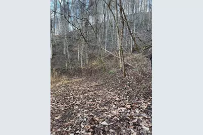 12982 US Hwy 19W None, Burnsville, NC 28714 - Photo 39