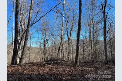 12982 US Hwy 19W None, Burnsville, NC 28714 - Photo 37