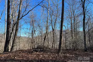 12982 US Hwy 19W None, Burnsville, NC 28714 - Photo 37