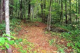 31 Whispering Falls Ct, Tuckasegee, NC 28783 - Photo 43