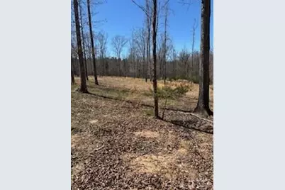 1639 +1643 Mallard Bay Drive #17 & 18, York, SC 29745 - Photo 3