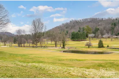 173 Winding Meadows Drive, Flat Rock, NC 28731 - Photo 41