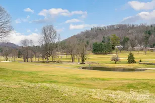 173 Winding Meadows Dr, Flat Rock, NC 28731 - Photo 41