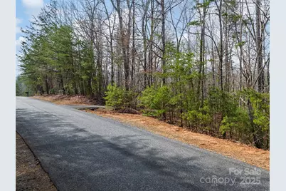 Lot 27 South Cove Road, Mill Spring, NC 28756 - Photo 13